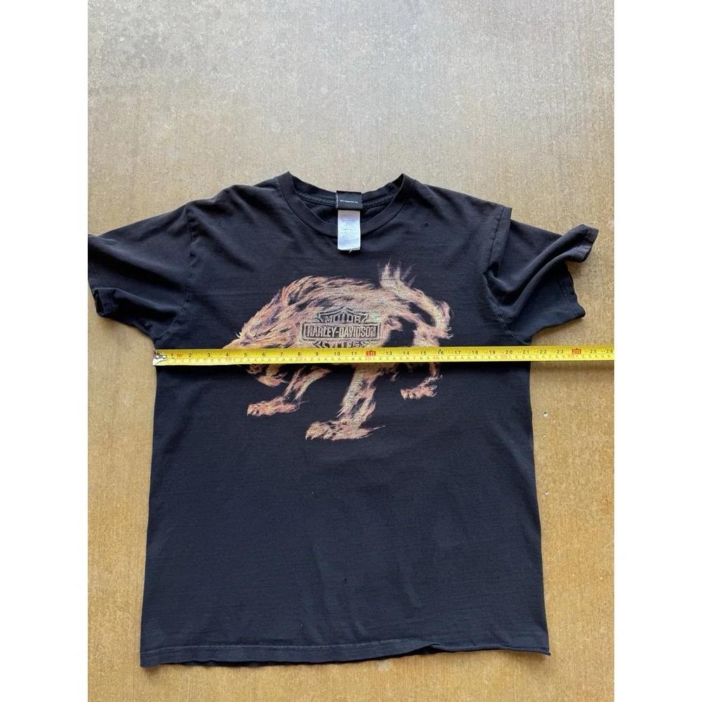 Harley Davidson Faded & Distressed Flames Wolf Minneapolis Biker Y2K T-Shirt (L)